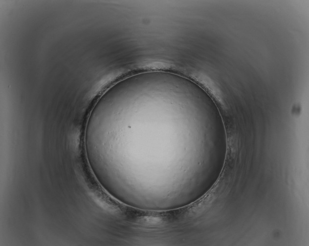 X0000094770159200711241325