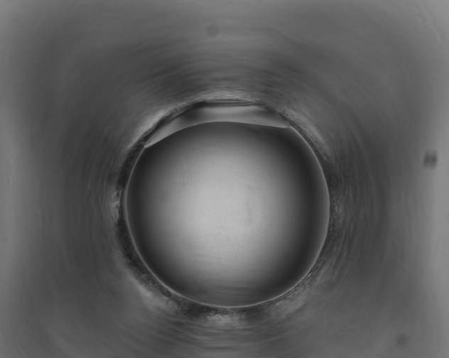 X0000094770160200711241325