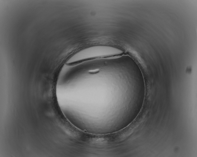 X0000094770161200711241325