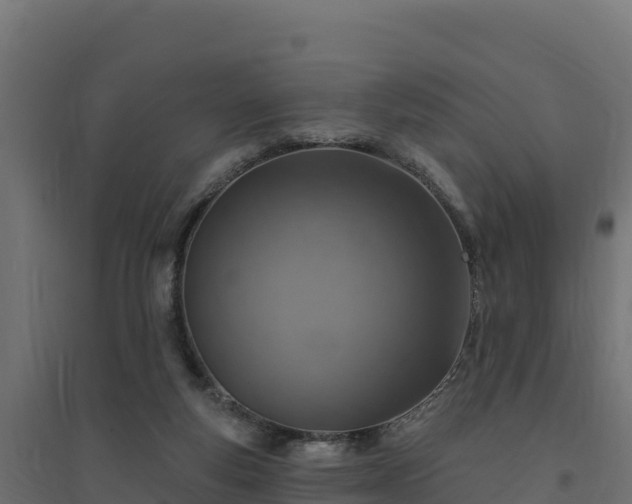 X0000094770163200711241325