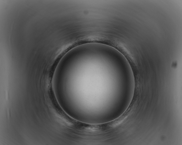 X0000094770164200711241325