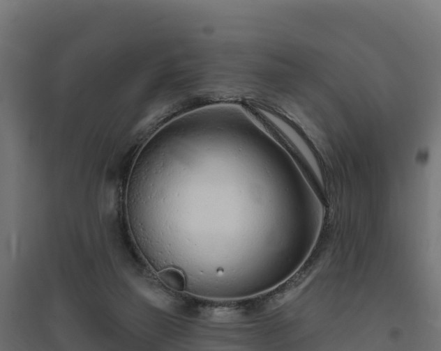 X0000094770165200711241325