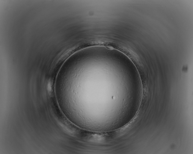 X0000094770166200711241325