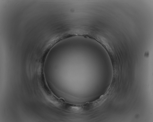 X0000094770167200711241325