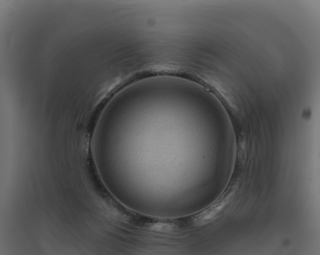 X0000094770168200711241325