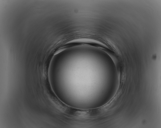 X0000094770170200711241325