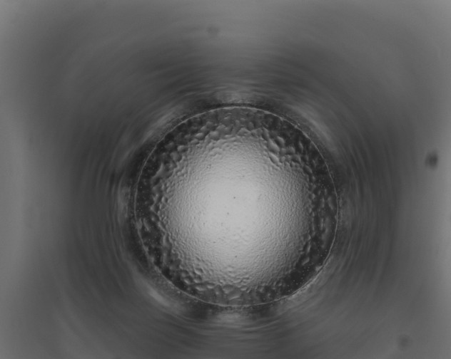 X0000094770171200711241325