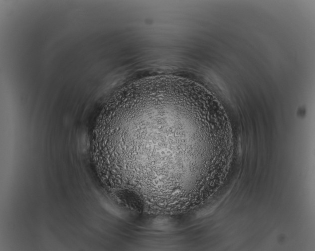 X0000094770173200711241325