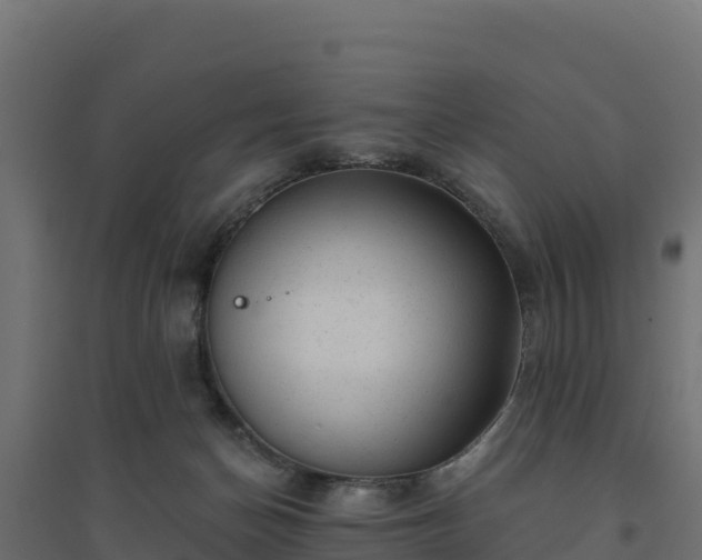 X0000094770174200711241325