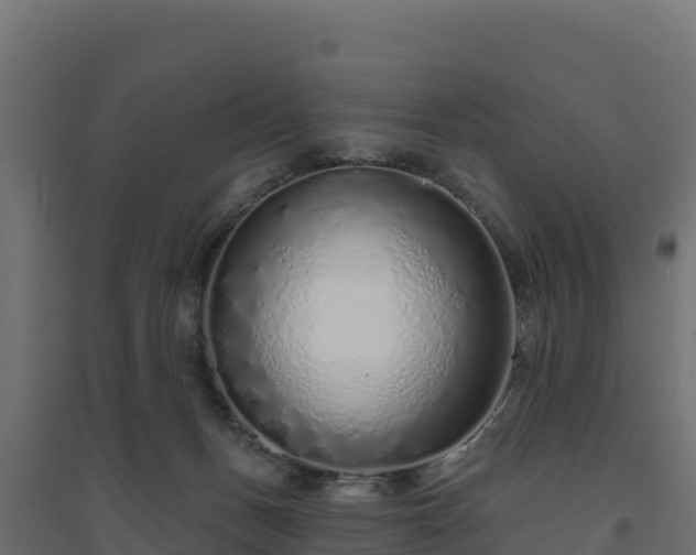 X0000094770175200711241325