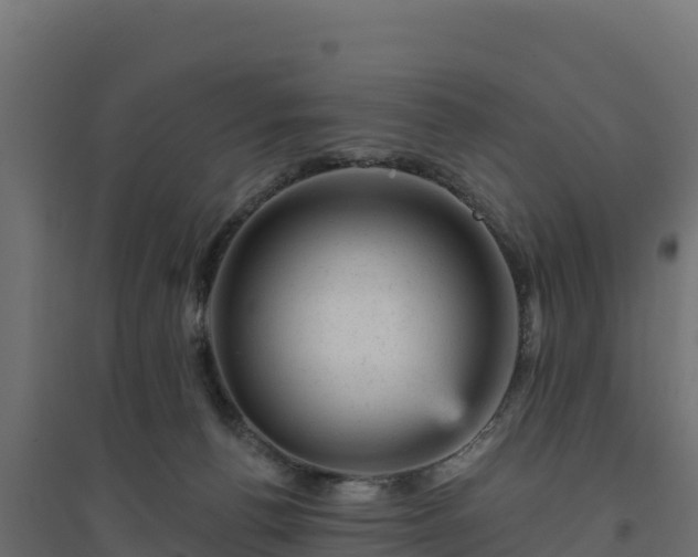 X0000094770176200711241325