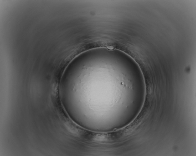 X0000094770177200711241325