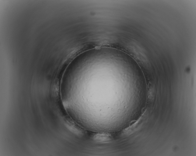 X0000094770179200711241325