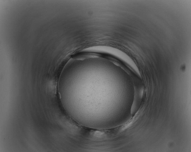 X0000094770180200711241325