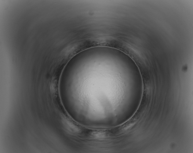 X0000094770181200711241325