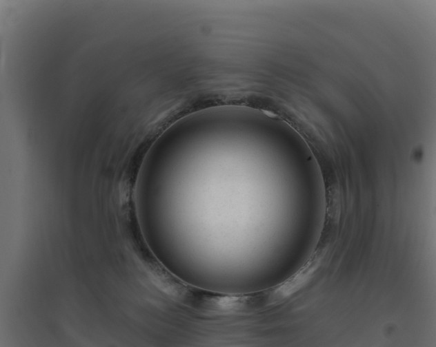 X0000094770184200711241325