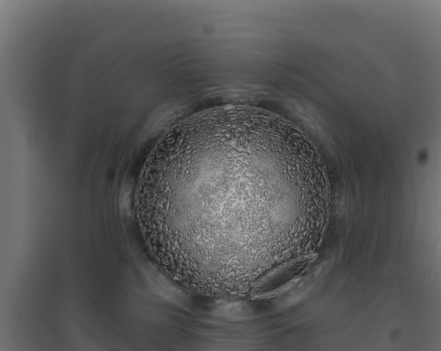 X0000094770185200711241325