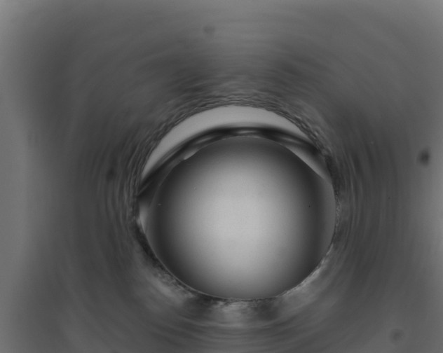 X0000094770186200711241325