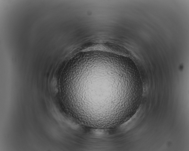 X0000094770187200711241325