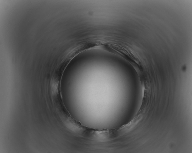 X0000094770188200711241325