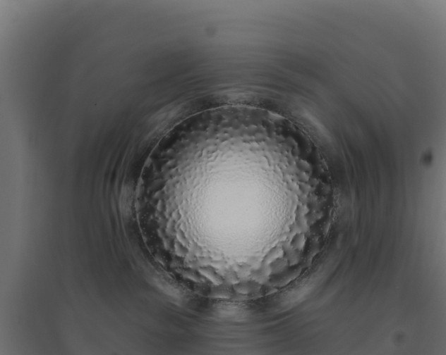 X0000094770189200711241325