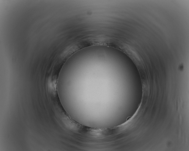 X0000094770190200711241325