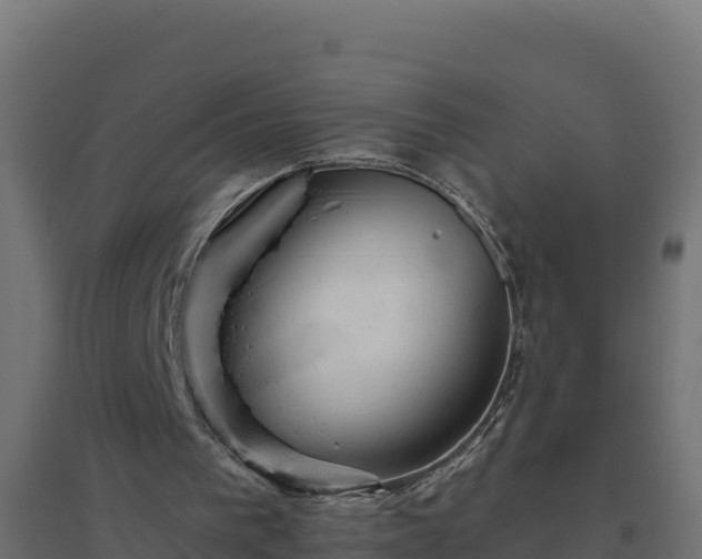 X0000094770193200711241324