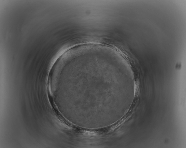 X0000094770195200711241324