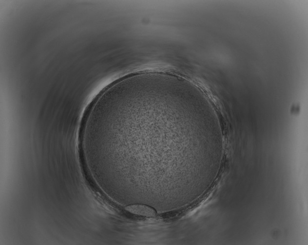 X0000094770196200711241324