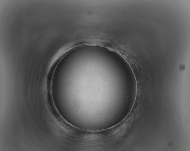 X0000094770198200711241324