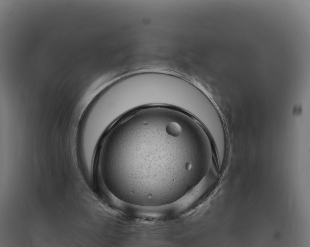 X0000094770199200711241324