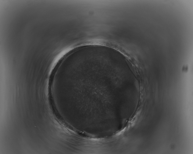 X0000094770200200711241324