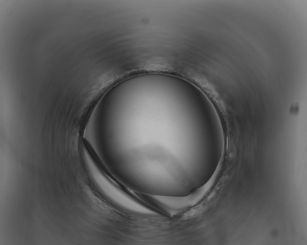 X0000094770201200711241324