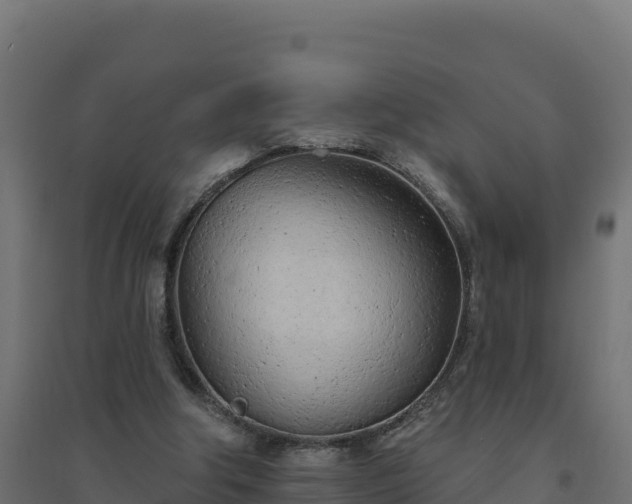 X0000094770202200711241324