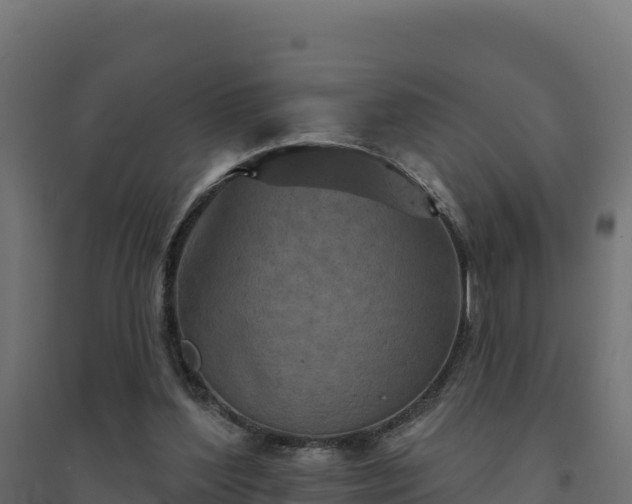 X0000094770204200711241324