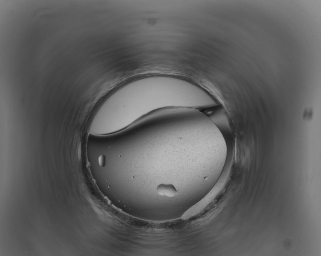 X0000094770205200711241324