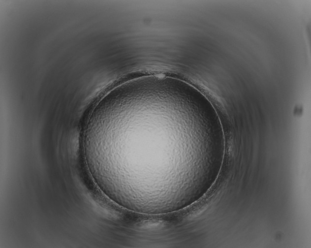 X0000094770206200711241324