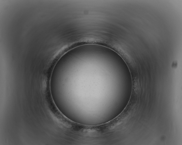 X0000094770208200711241324