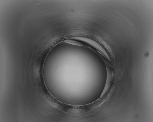 X0000094770209200711241324