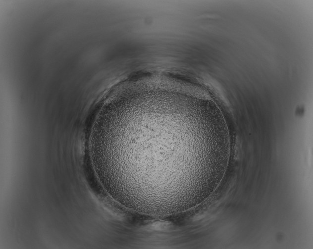 X0000094770210200711241324