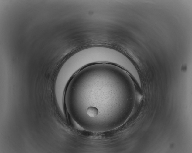 X0000094770211200711241324