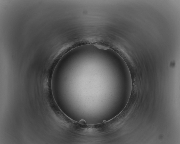 X0000094770212200711241324