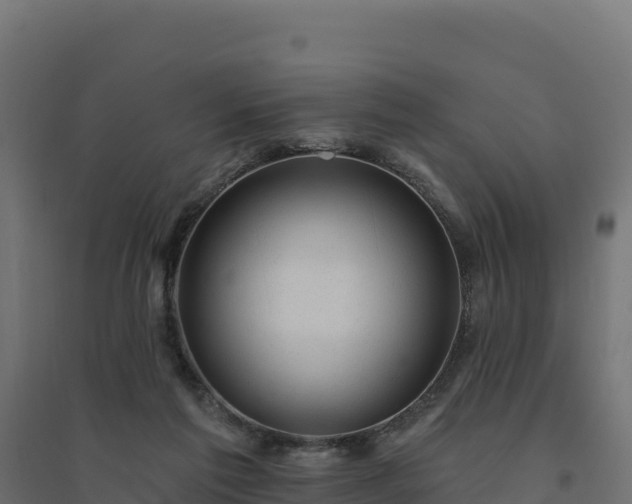 X0000094770213200711241324