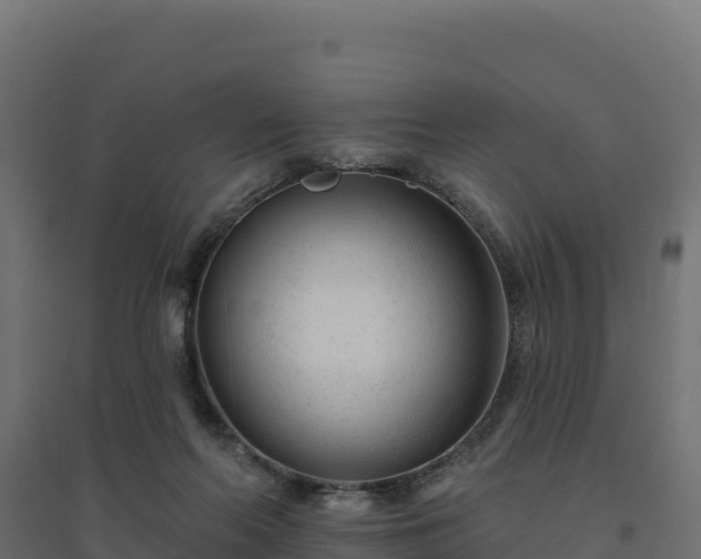 X0000094770214200711241324