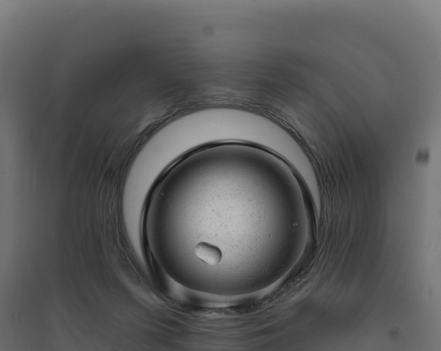 X0000094770215200711241324