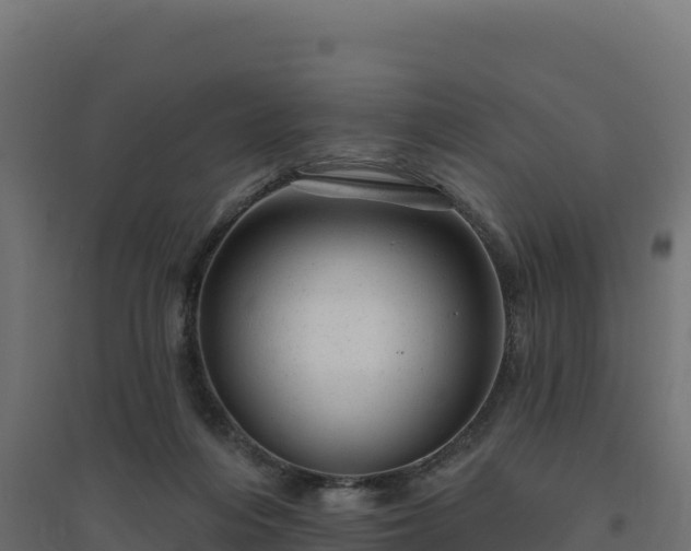 X0000094770216200711241324