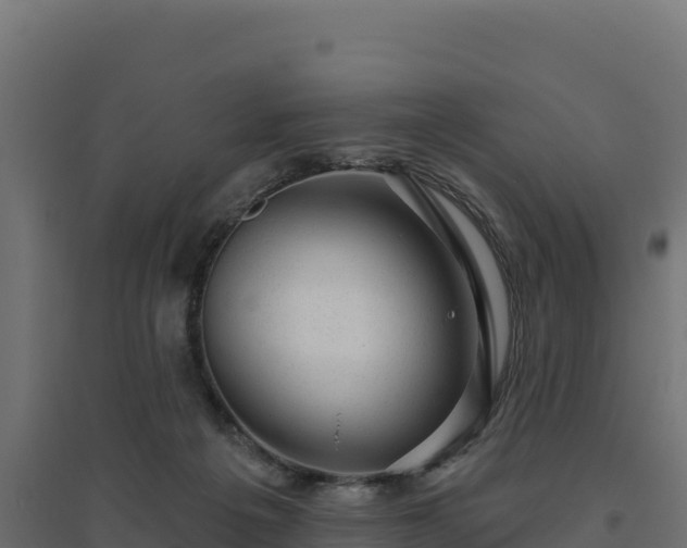 X0000094770217200711241324