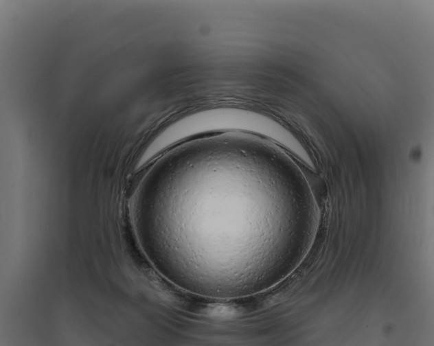 X0000094770218200711241324