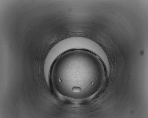 X0000094770219200711241324