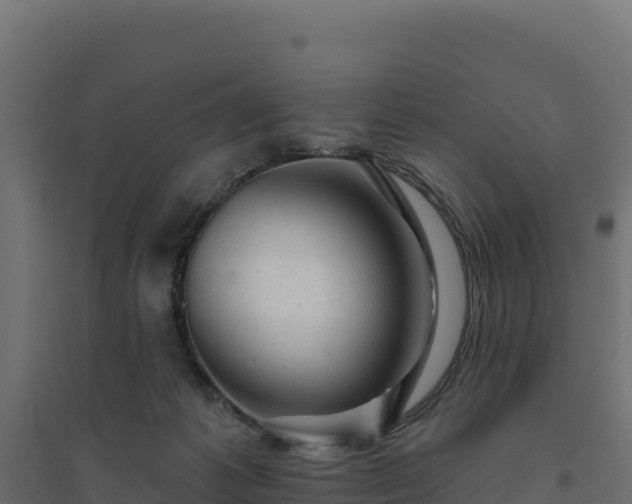 X0000094770221200711241324